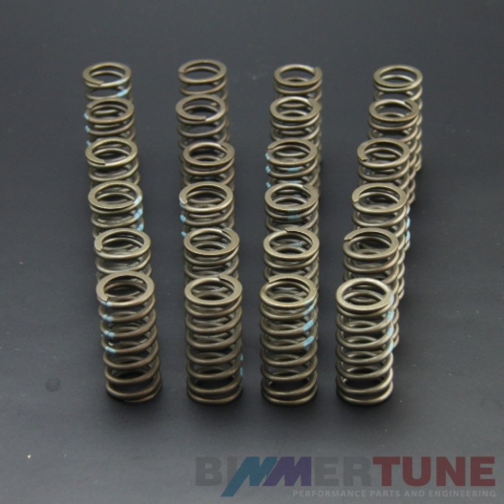 Stronger valve springs M57 • BMW 330d 335d 535d & other |1999 to 2013|